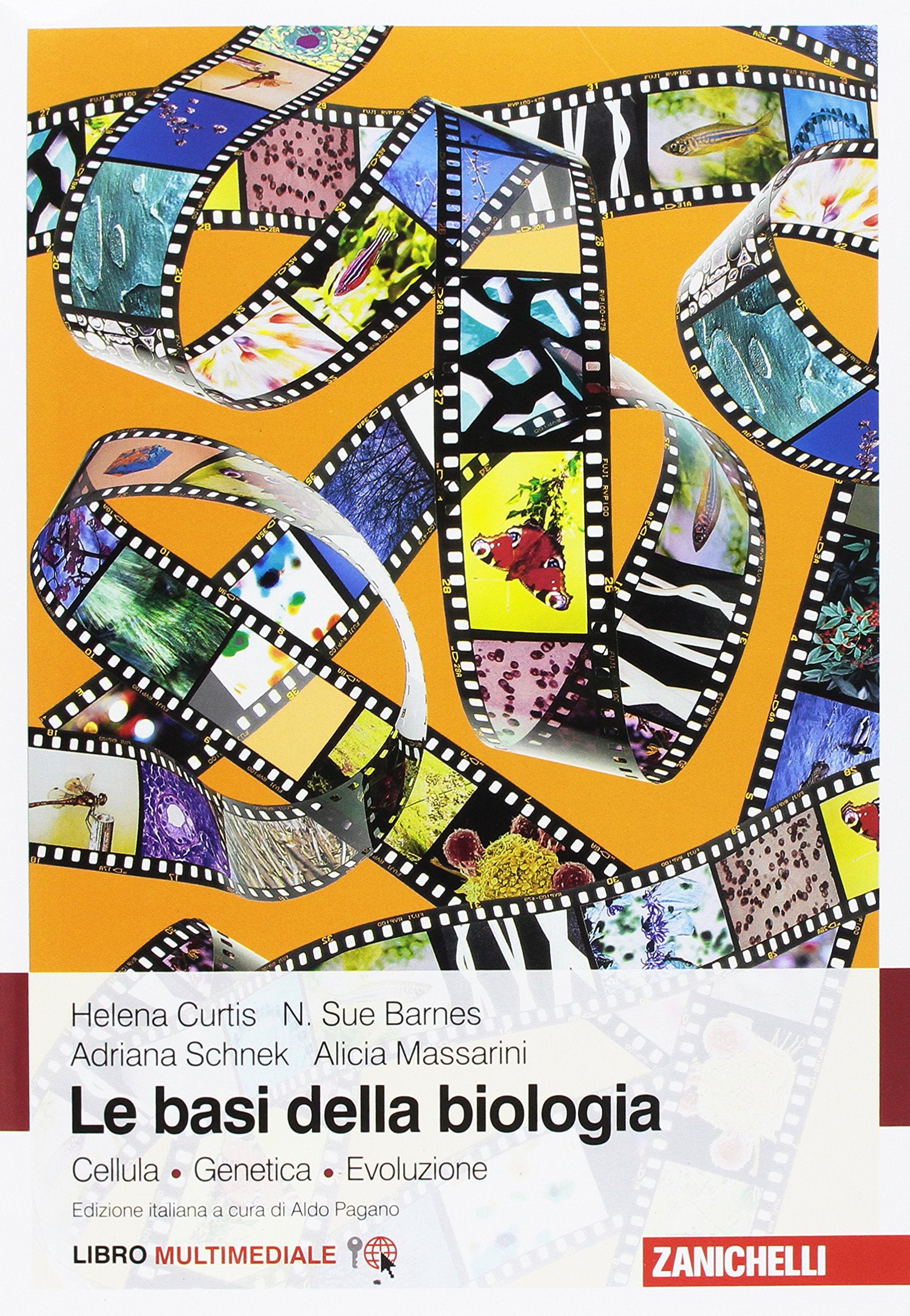Le basi della biologia. Cellula. Genetica. Evoluzione. Con e-book Natural Sciences