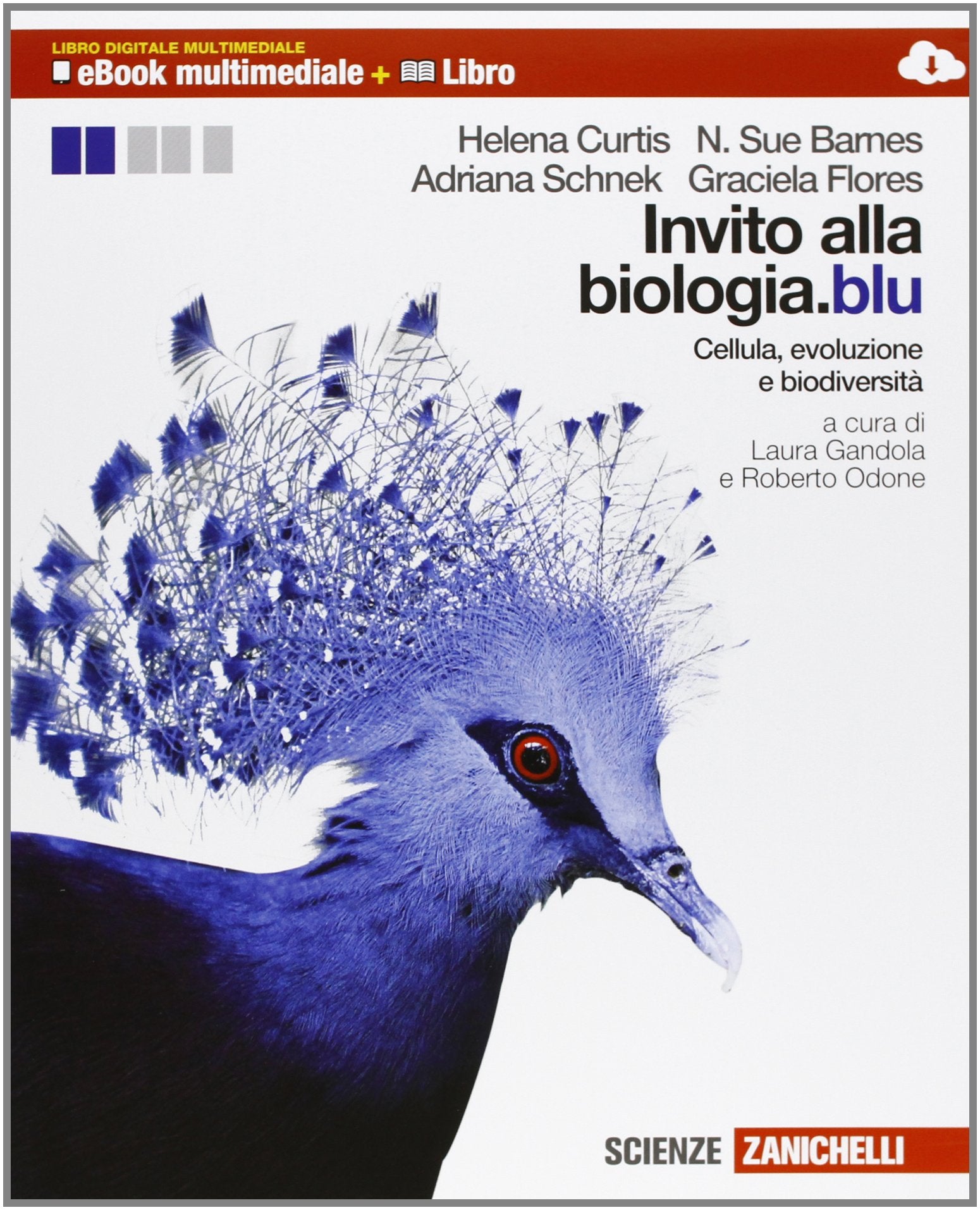 Invito alla biologia.blu. Cellula, evoluzione e biodiversità. Multimediale. Per le Scuole superiori. Con e-book. Con espansione online Professional & Reference Books