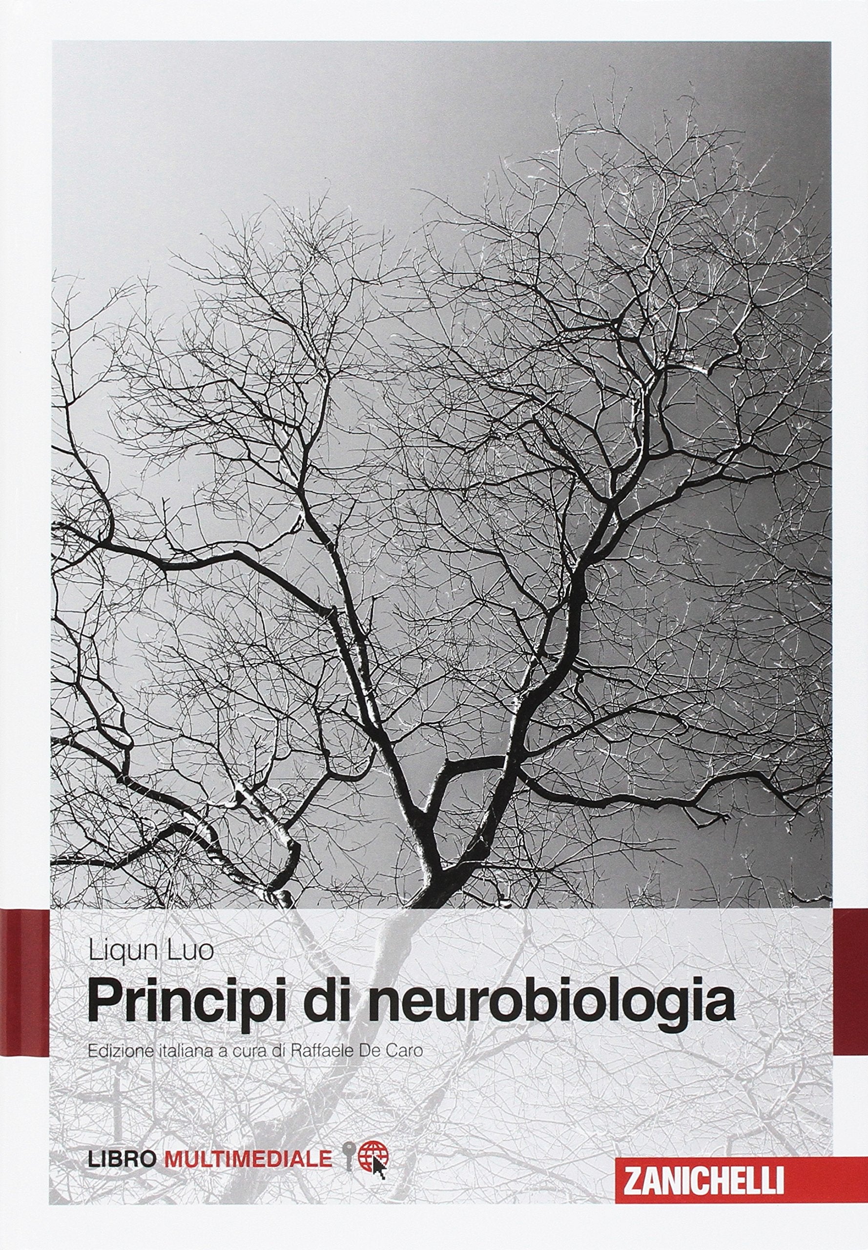 Principi di neurobiologia. Con Contenuto digitale (fornito elettronicamente) Medicine