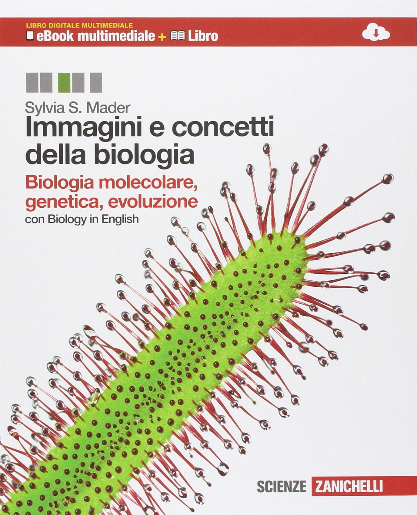 Immagini e concetti della biologia. Biologia molecolare, genetica, evoluzione. Per le Scuole superiori. Con espansione online Professional & Reference Books