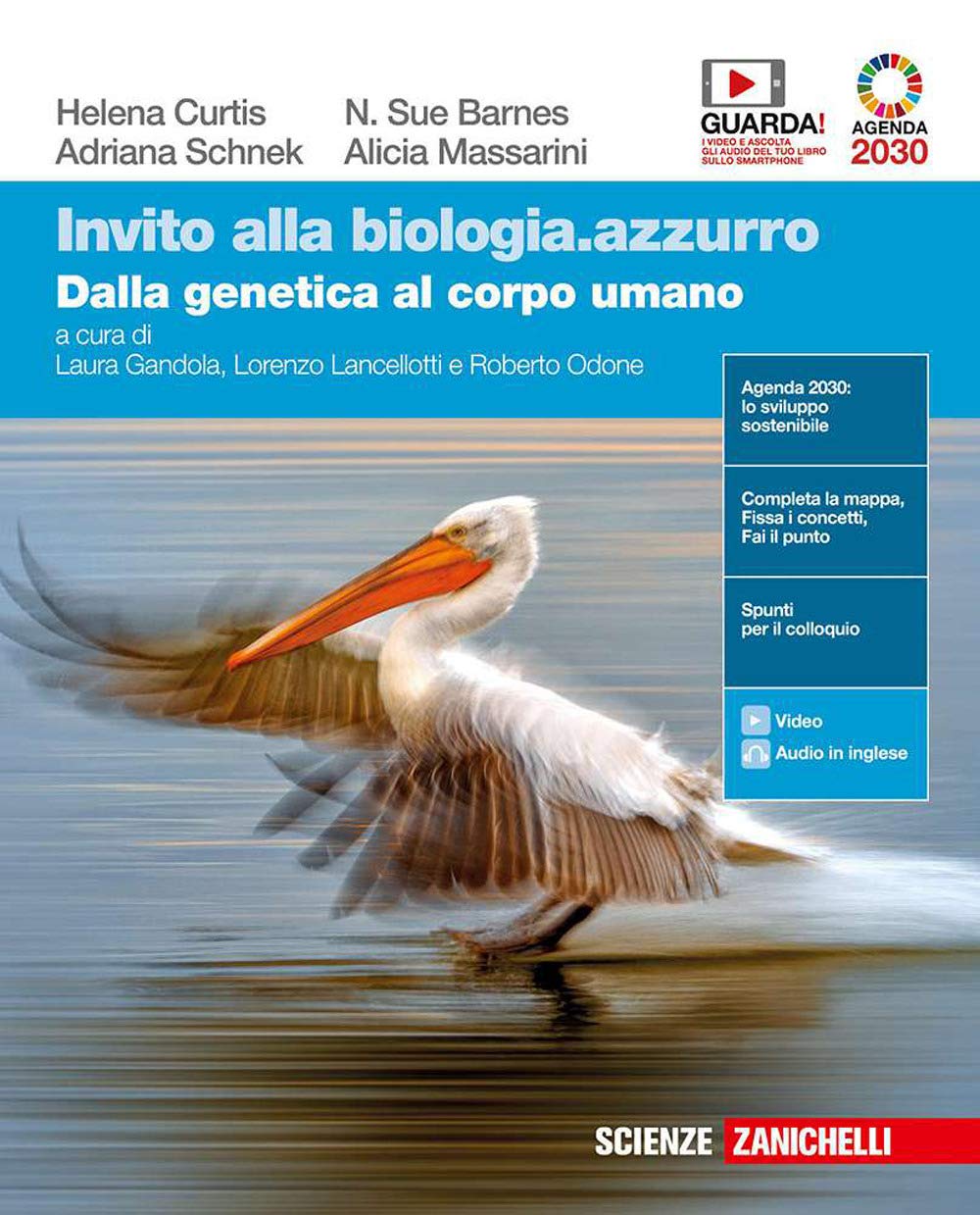 Invito alla biologia.azzurro. Dalla genetica al corpo umano. Per le Scuole superiori. Con e-book. Con espansione online Professional & Reference Books