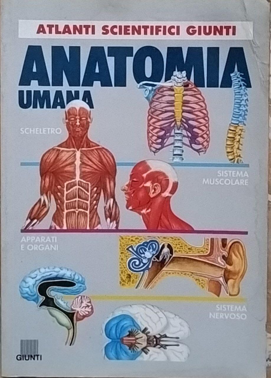 Anatomia umana (Atlanti scientifici) Books