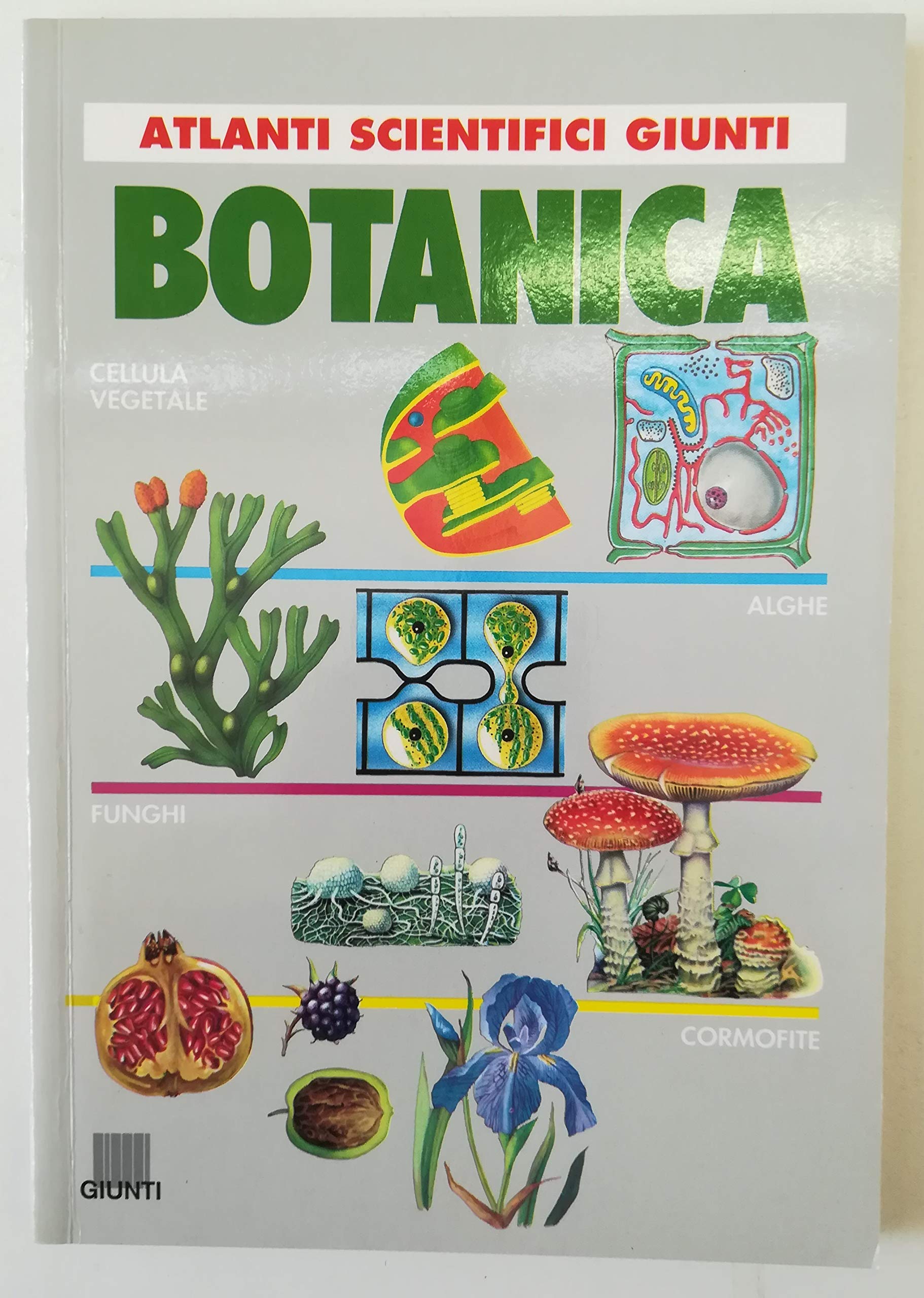 Botanica (Atlanti scientifici Giunti) Books