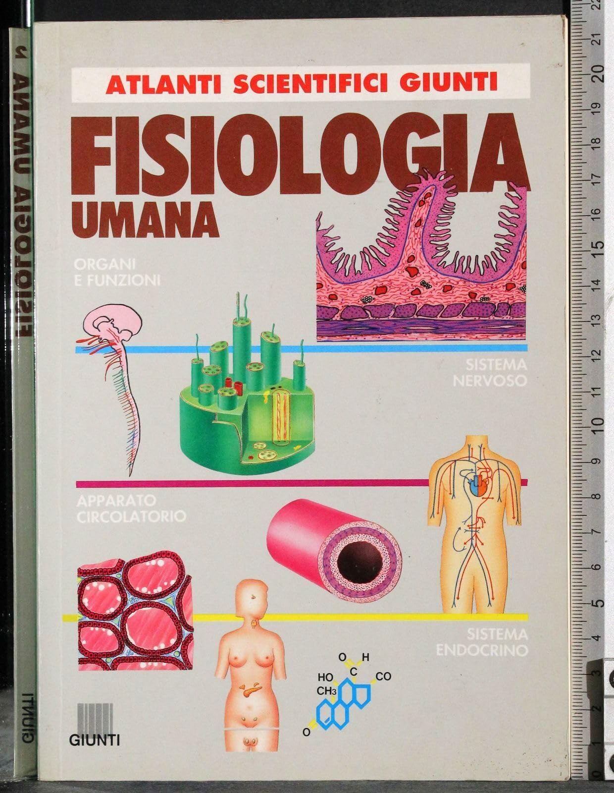 Fisiologia umana book