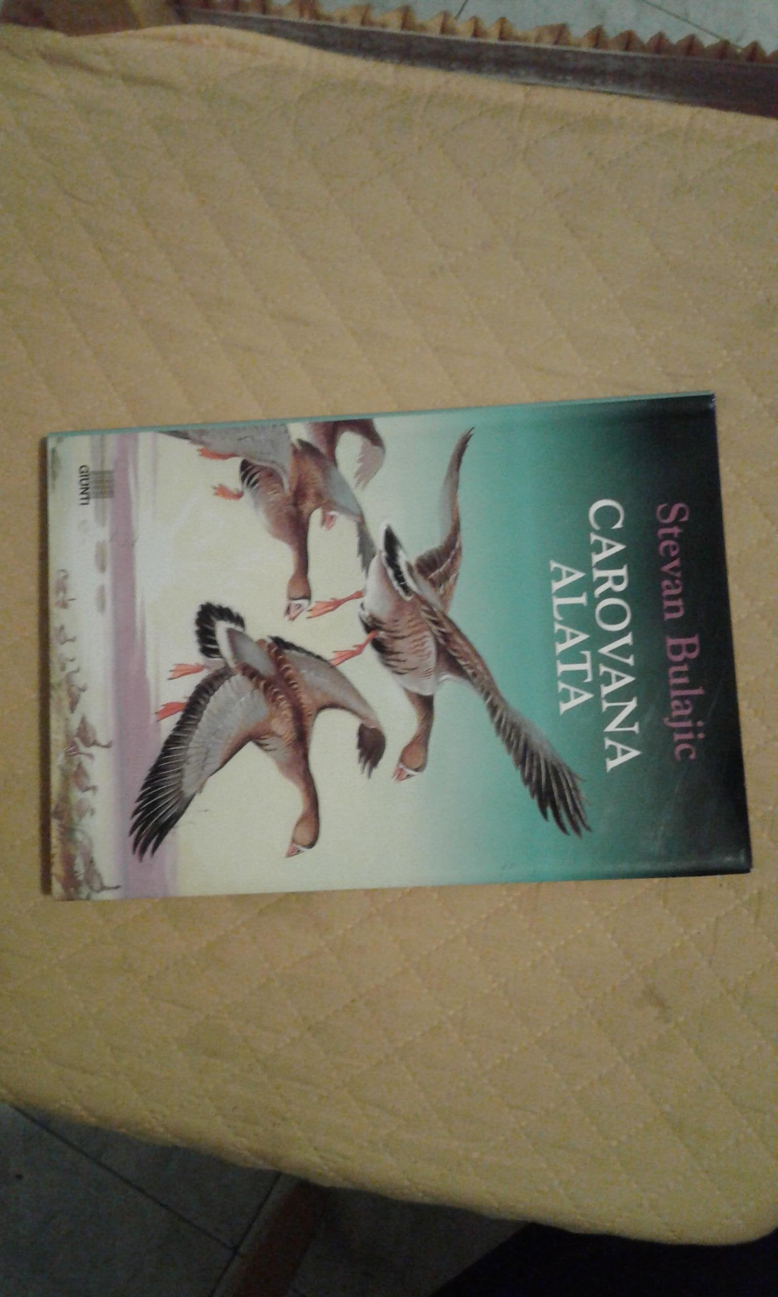 Carovana alata. Ediz. illustrata book
