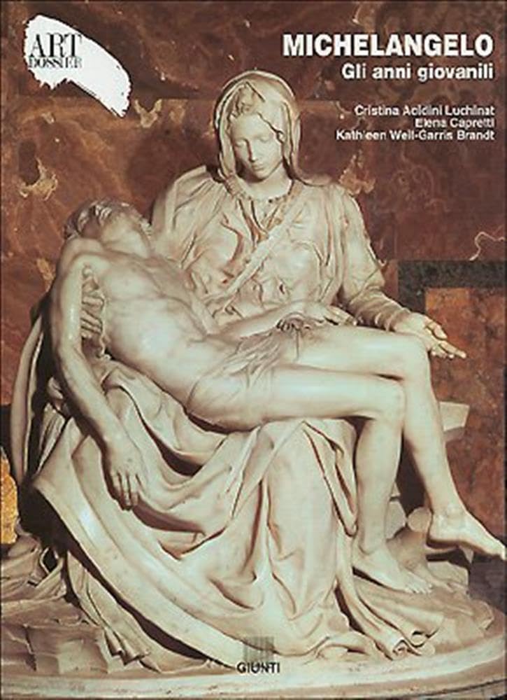 Michelangelo. Gli anni giovanili Social Sciences
