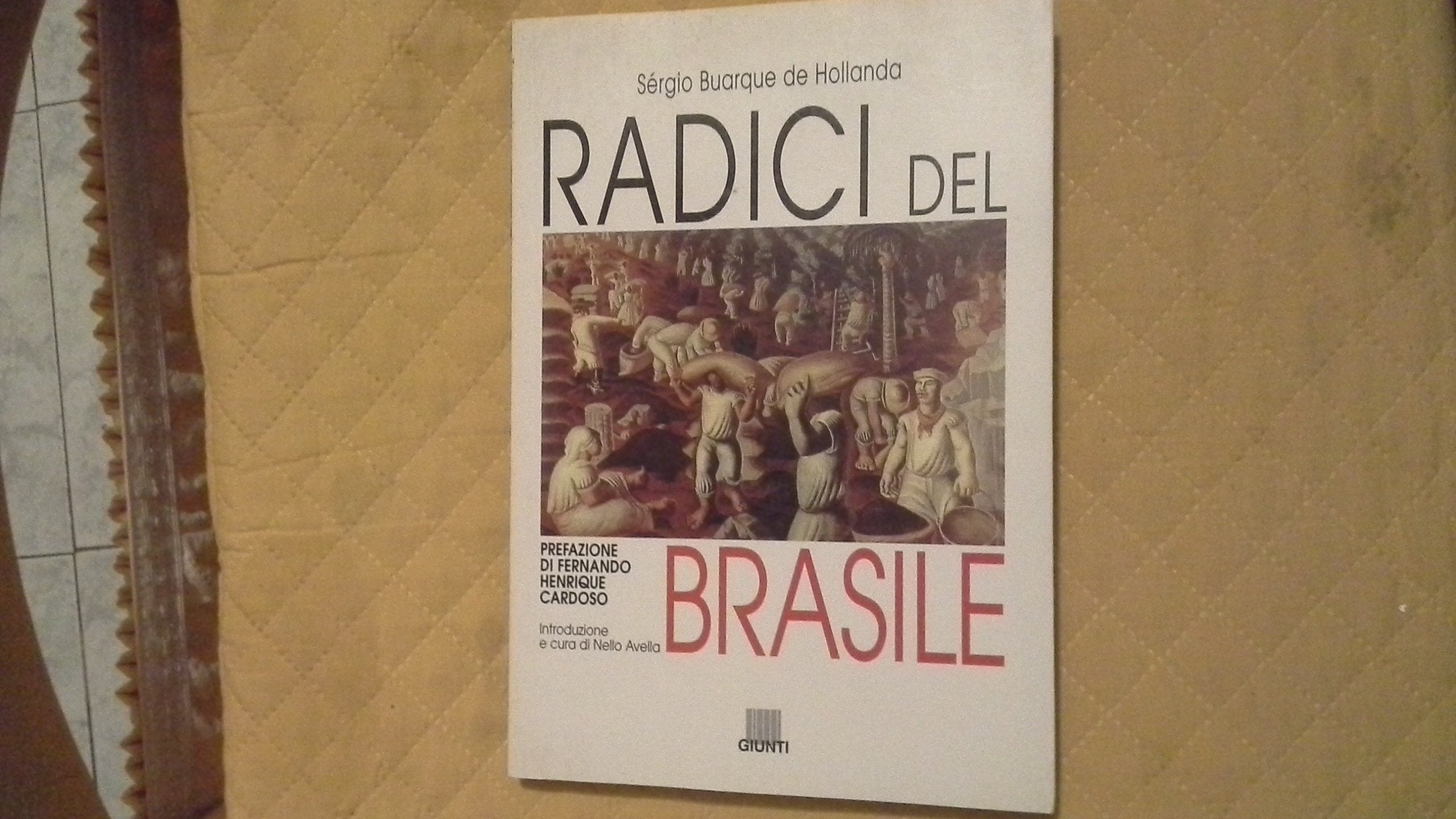 Radici del Brasile book