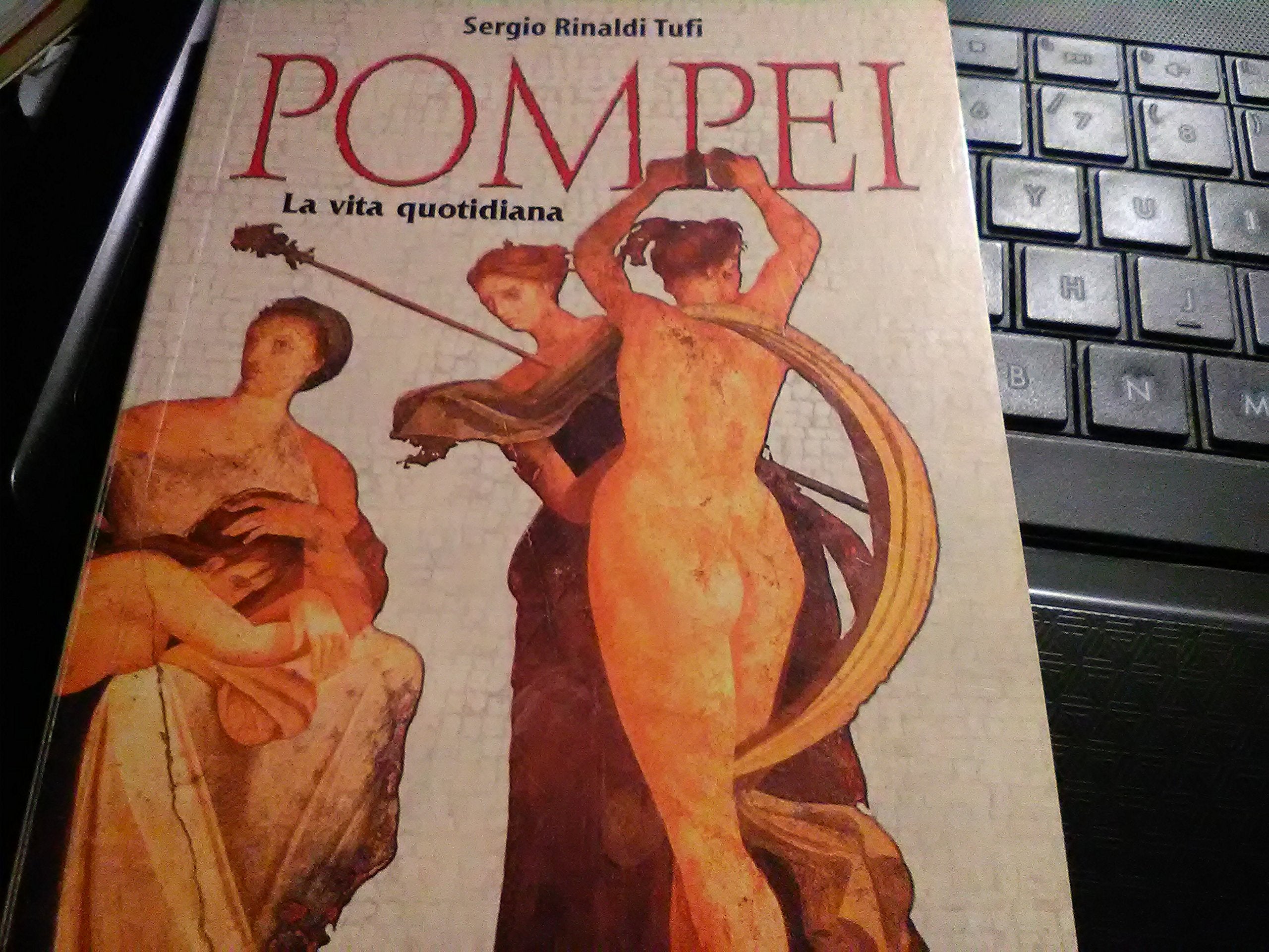 Pompei. La vita quotidiana book