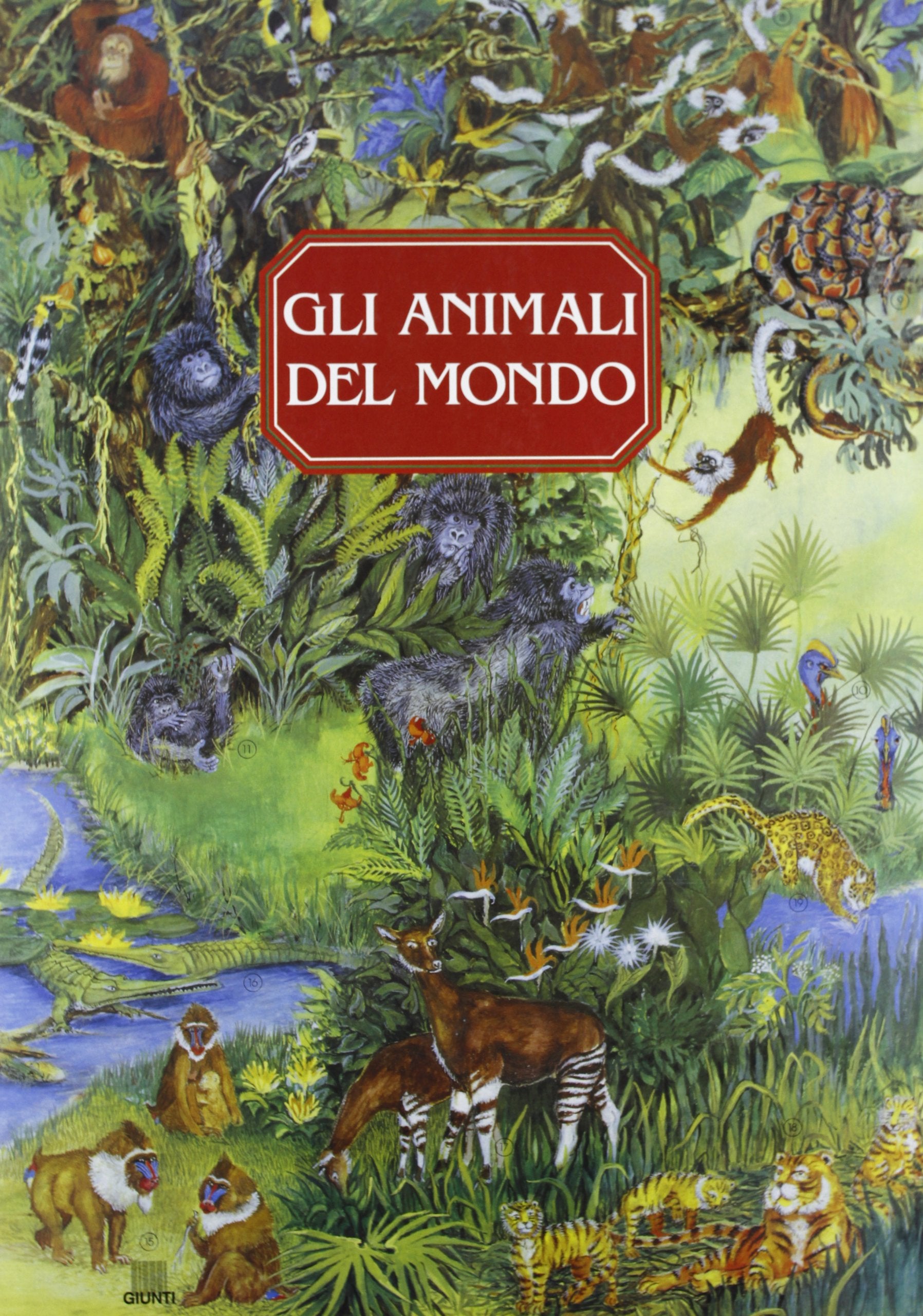 Animali nel mondo (Libri da guardare) Non-fiction