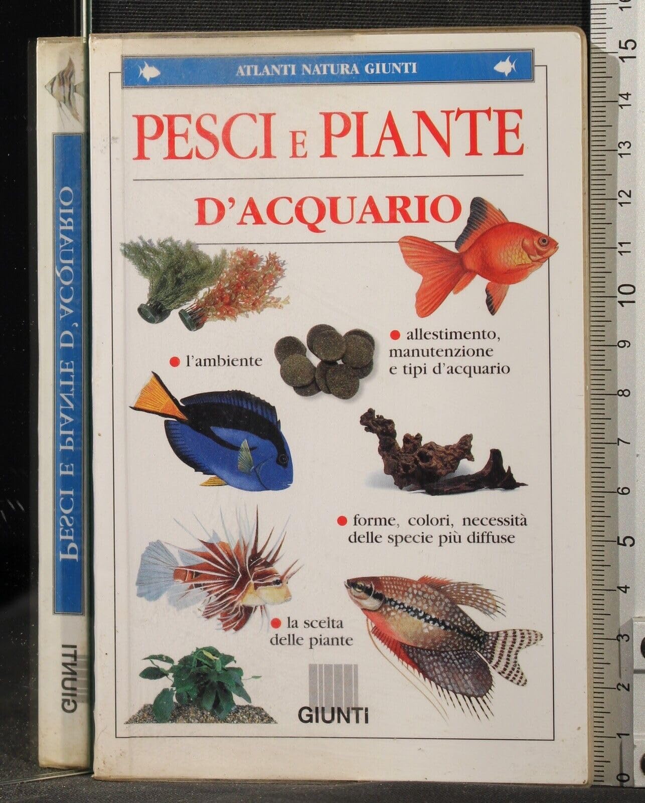 Pesci e piante d'acquario (Atlanti natura Giunti) Garden & Plants
