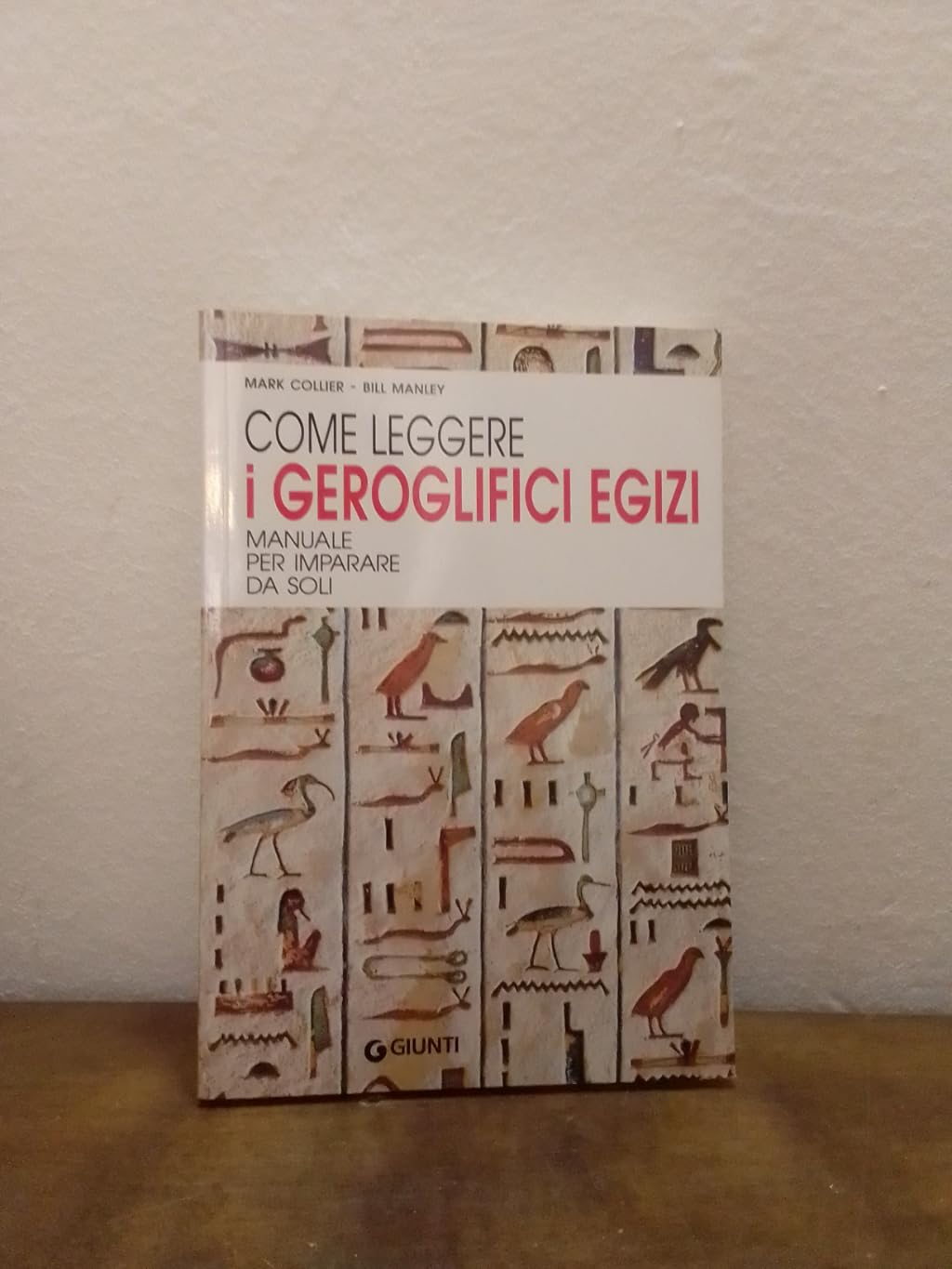 Come leggere i geroglifici egizi (Varia) Social Sciences
