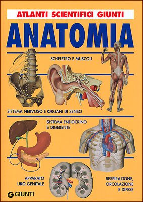 Anatomia. Ediz. illustrata (Atlanti scientifici) Medicine