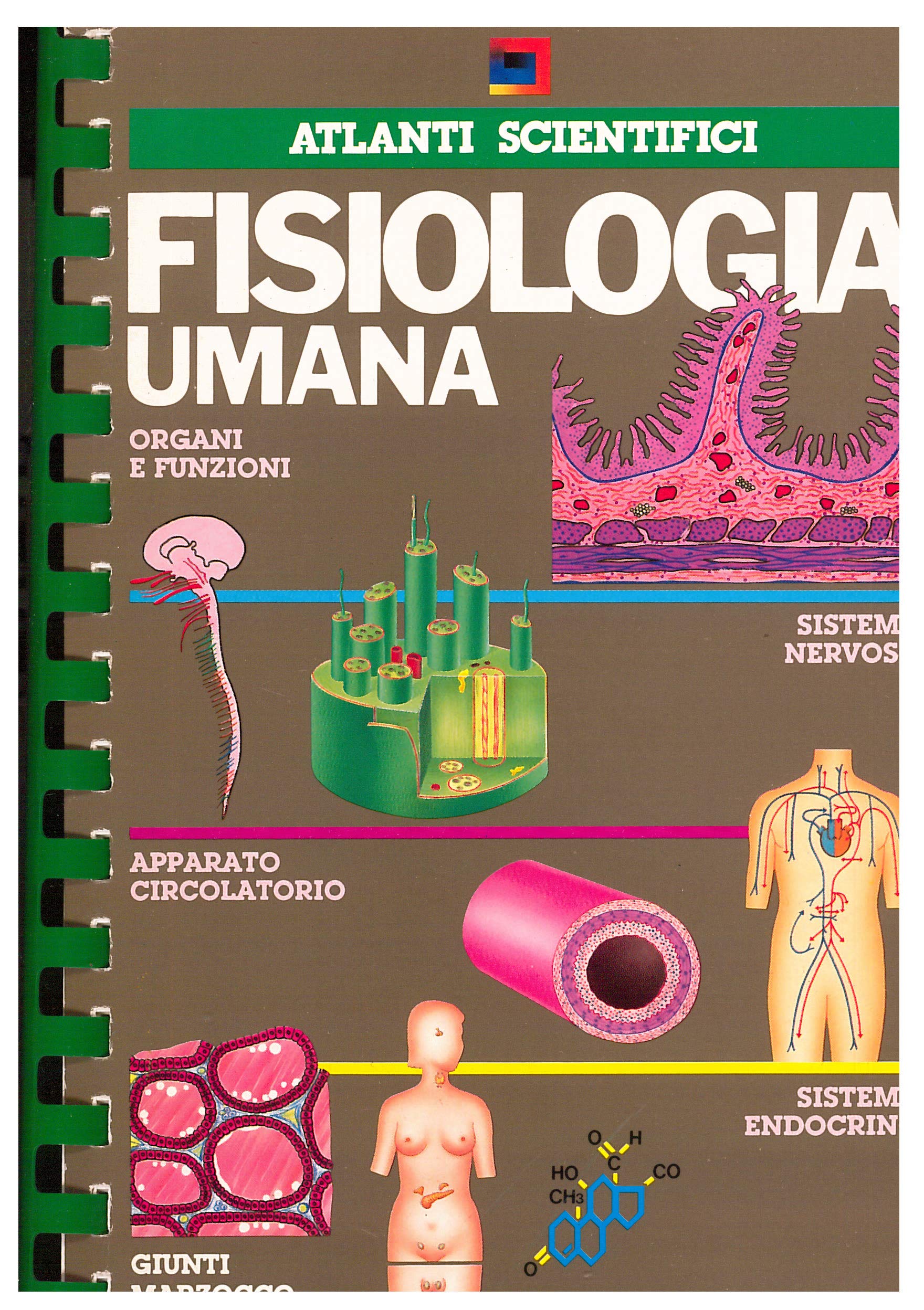 Fisiologia umana (Atlanti scientifici) Books