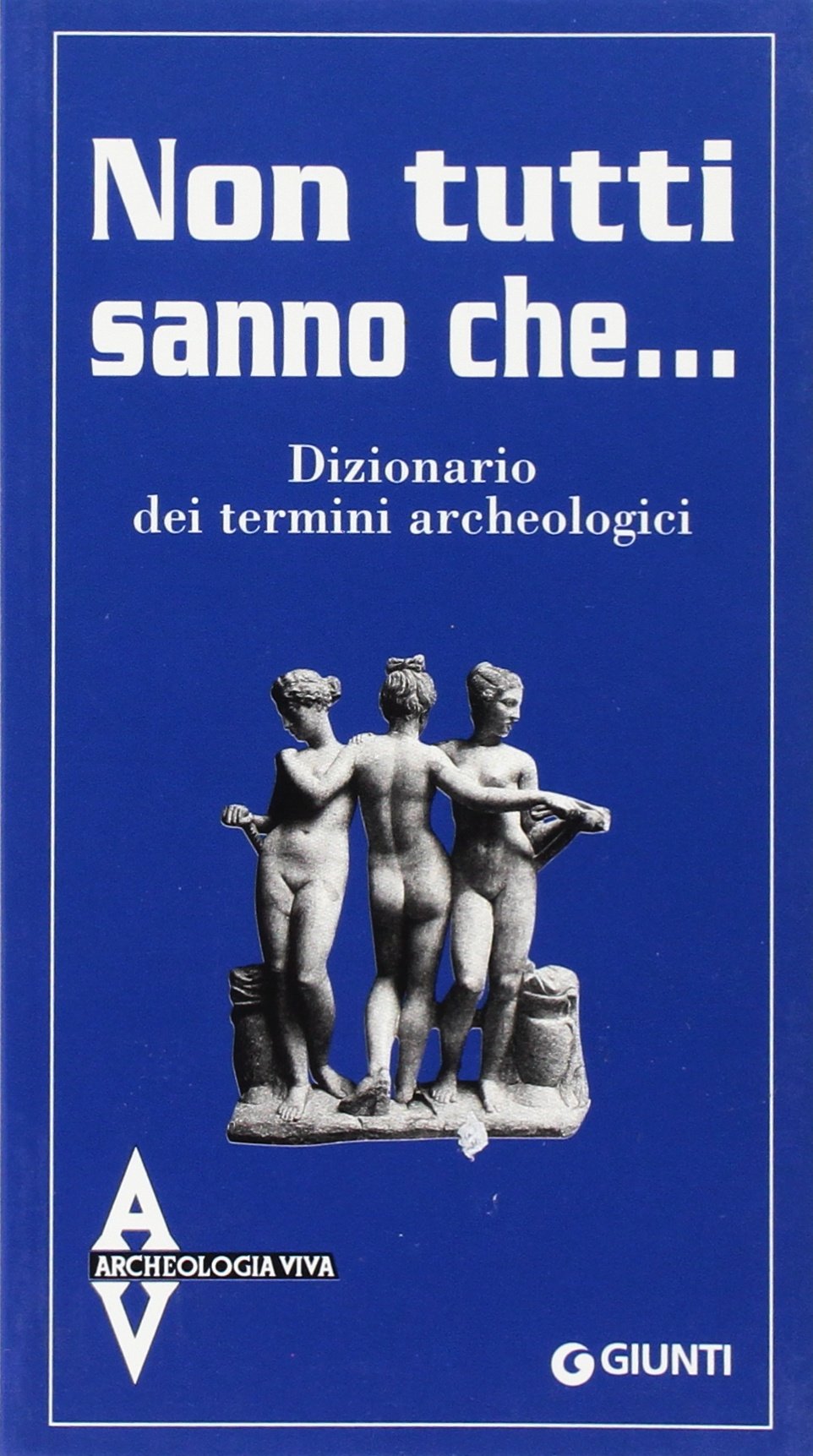 Dizionario dei termini archeologici. Non tutti sanno che... book