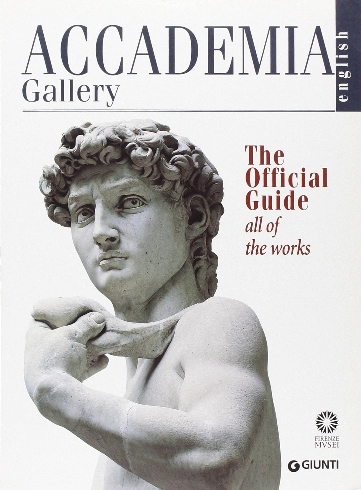 Accademia Gallery. The Official Guide. All of the Works (Guide uff. musei fiorentini. Complete) Leisure, Home & Garden