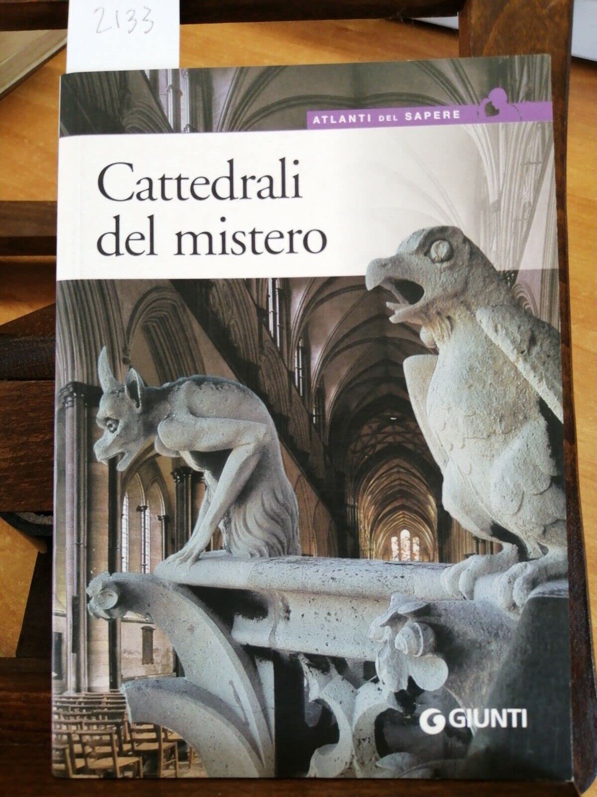 Cattedrali del mistero. Simbologia, architettura e bellezza (Atlanti del sapere) Books