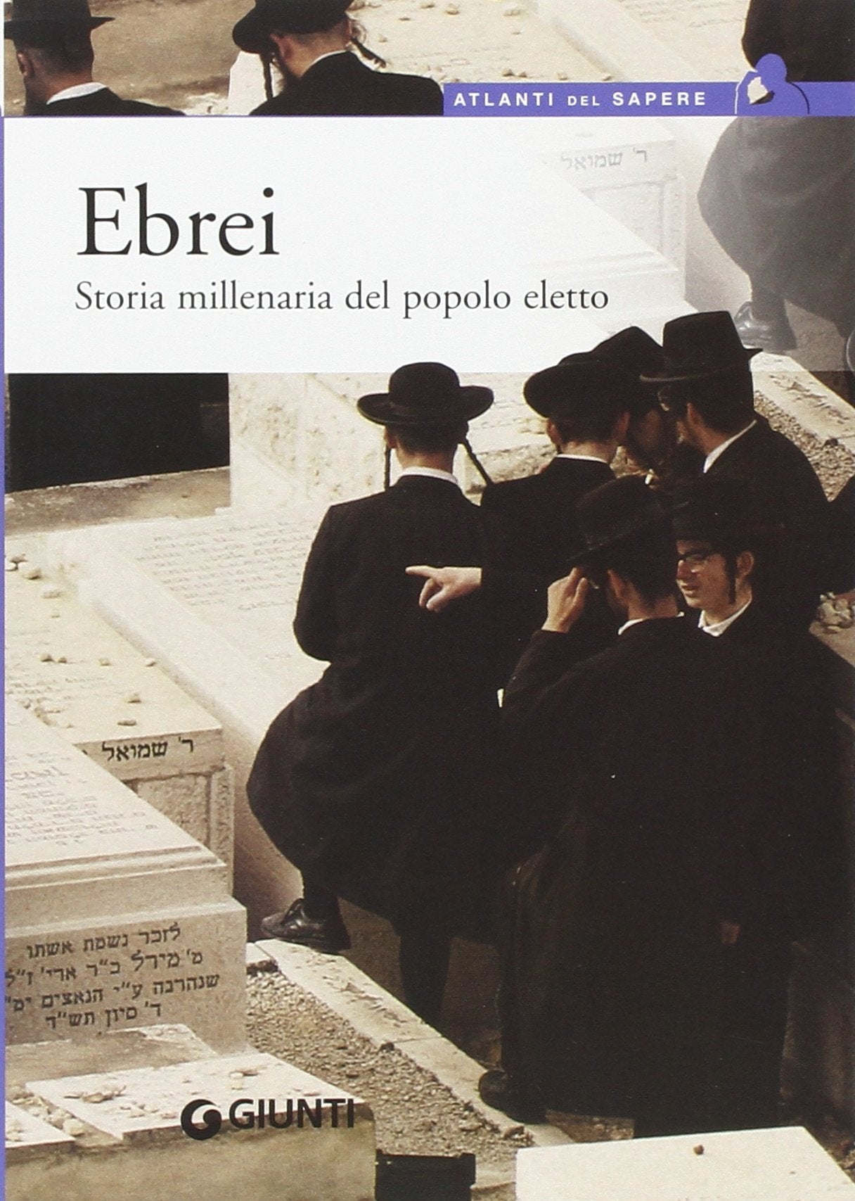 Ebrei. Storia millenaria del popolo eletto book