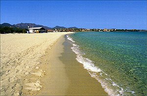 Cartolina. Olbia (OT) - Spiaggia di Pittolongu Books