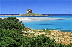 Cartolina. Stintino (SS) - Spiaggia della Pelosa Books