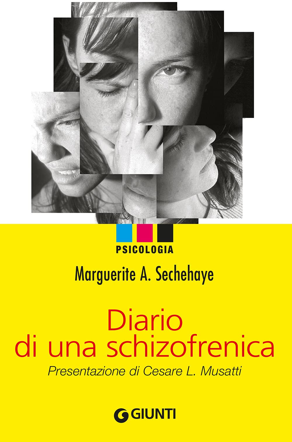 Diario di una schizofrenica book