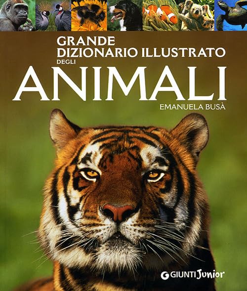 Grande dizionario illustrato degli animali book