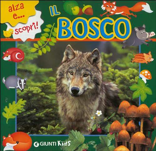 Il bosco. Ediz. illustrata (Alza e scopri) Non-fiction