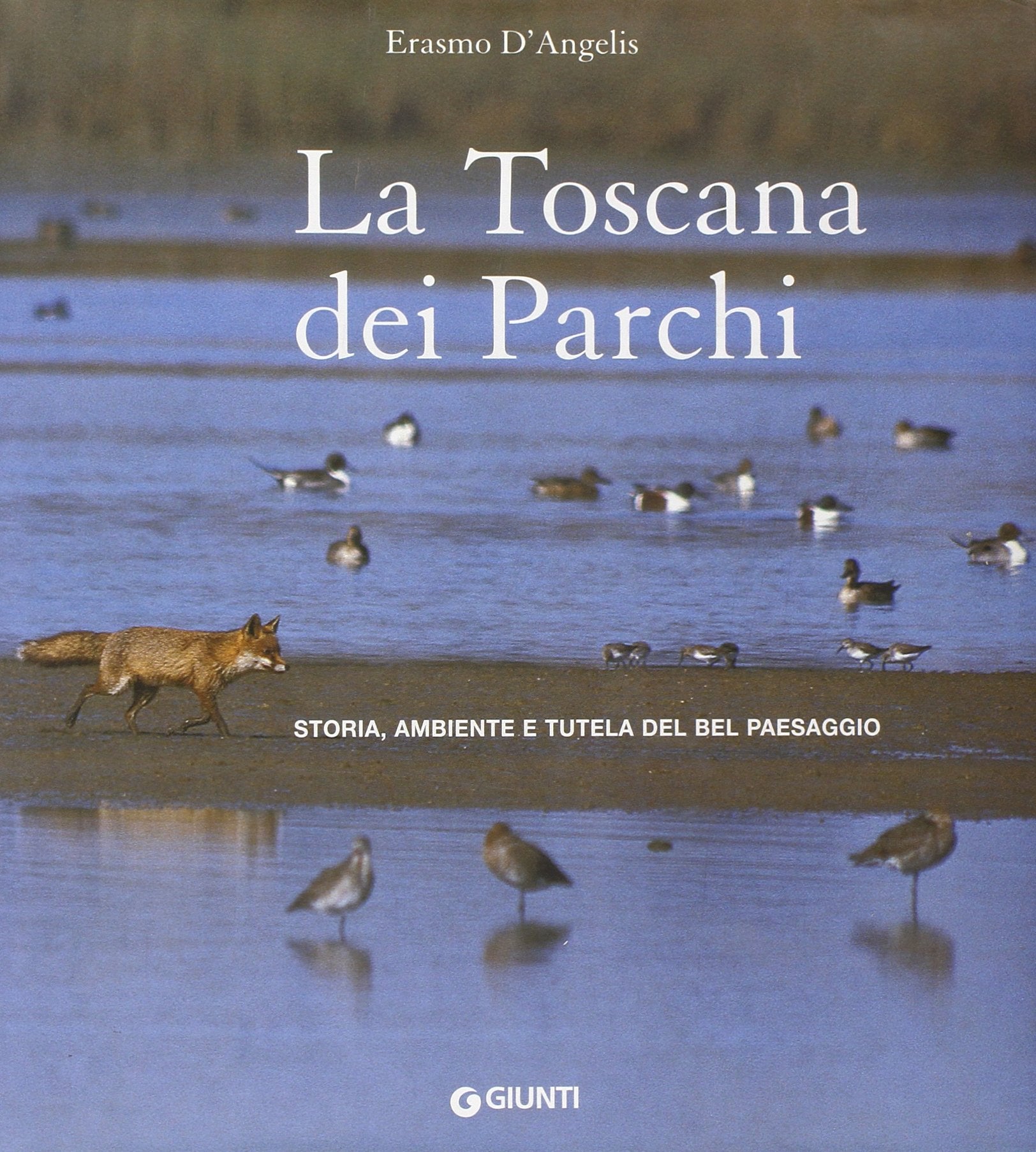 Toscana dei parchi Leisure, Home & Garden