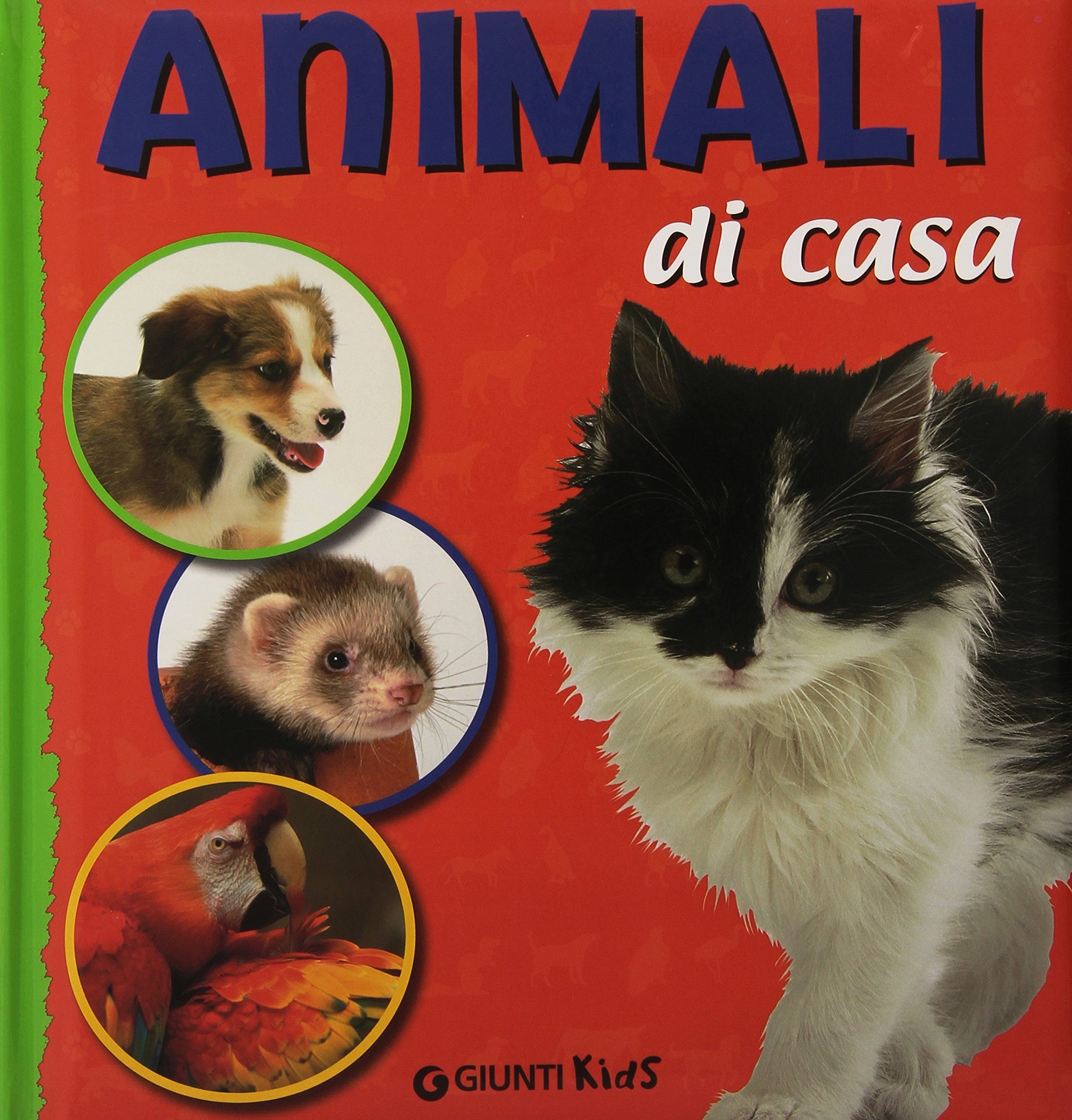 Animali di casa. Ediz. illustrata Non-fiction