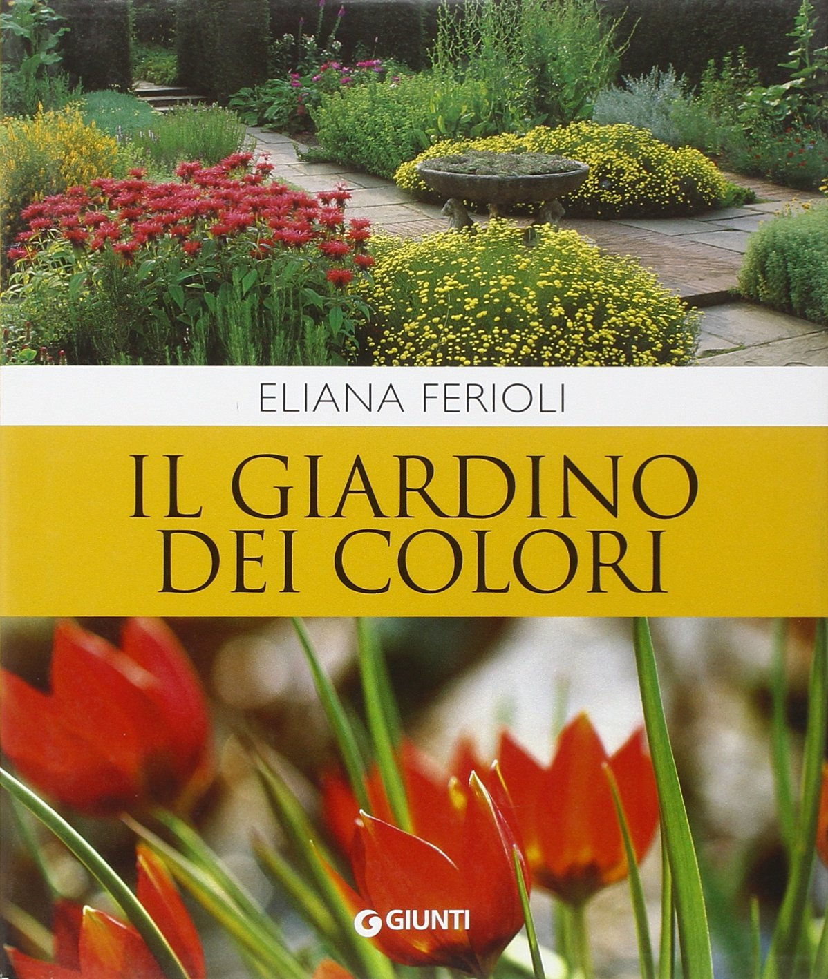 Il giardino dei colori book