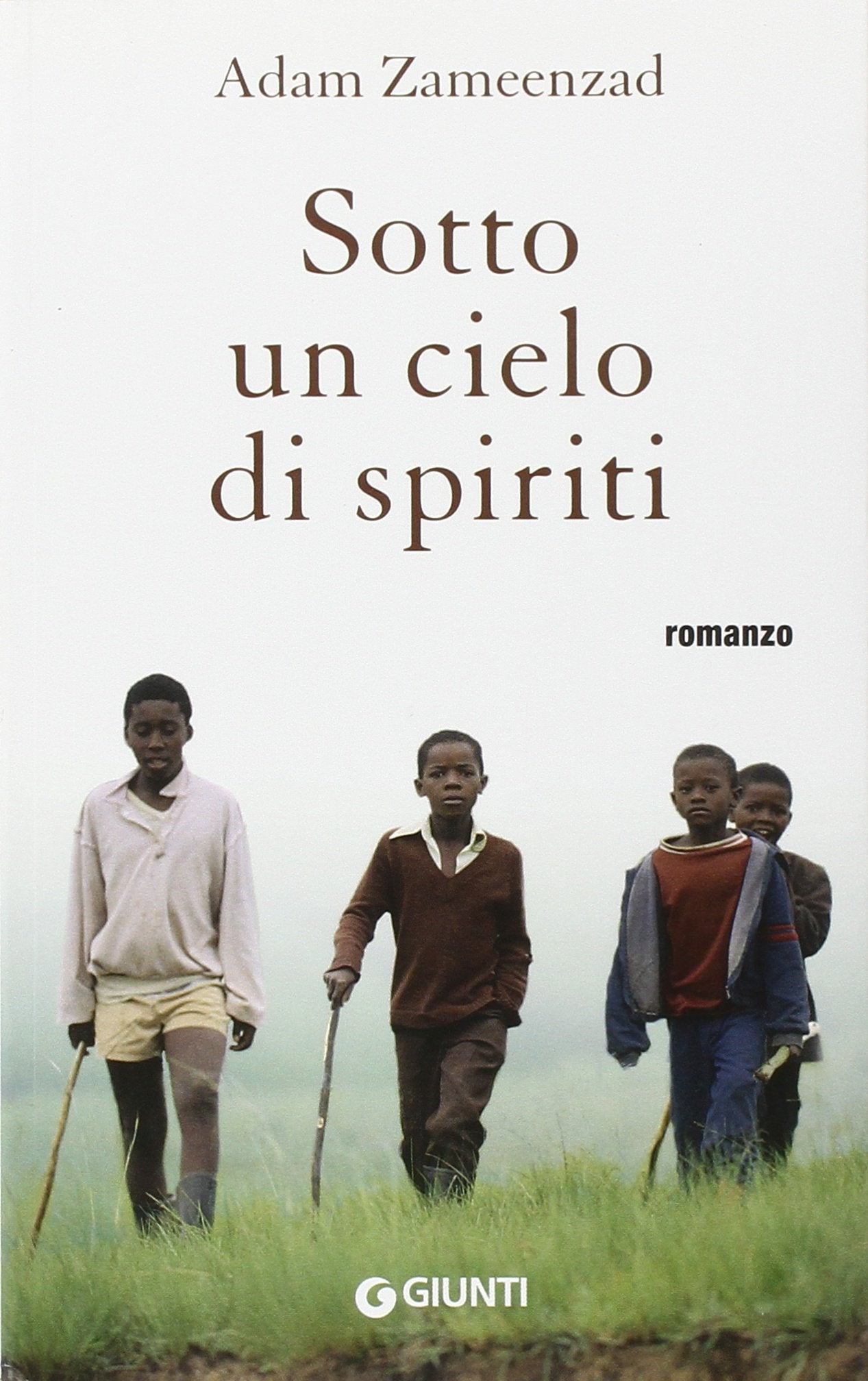 Sotto un cielo di spiriti book