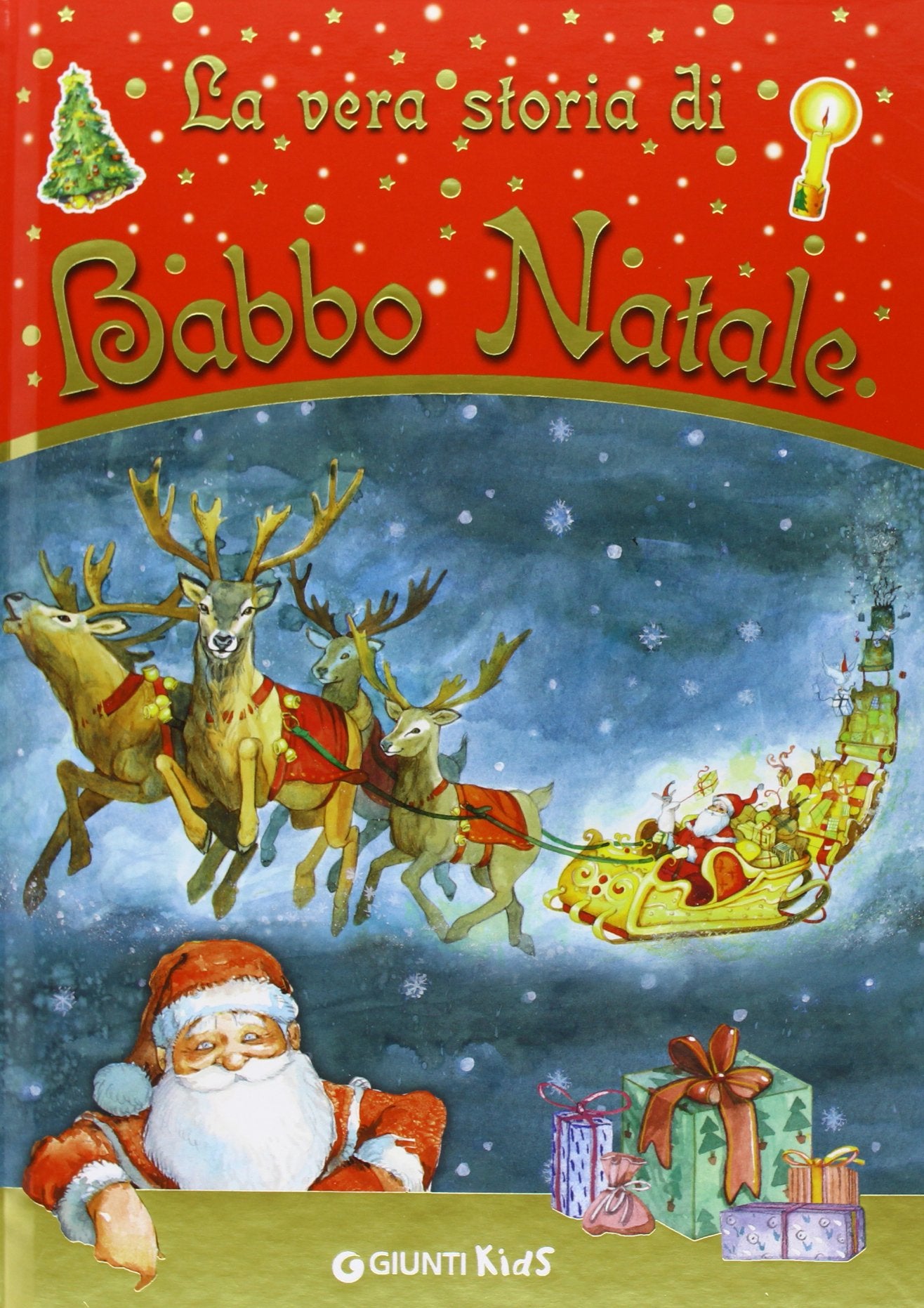 La vera storia di Babbo Natale book