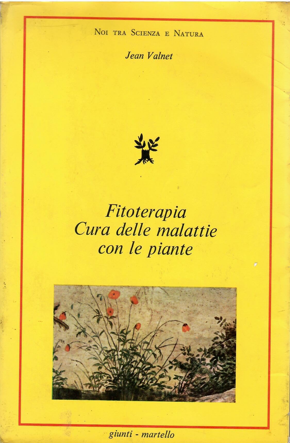Cura delle malattie con le essenze delle piante book
