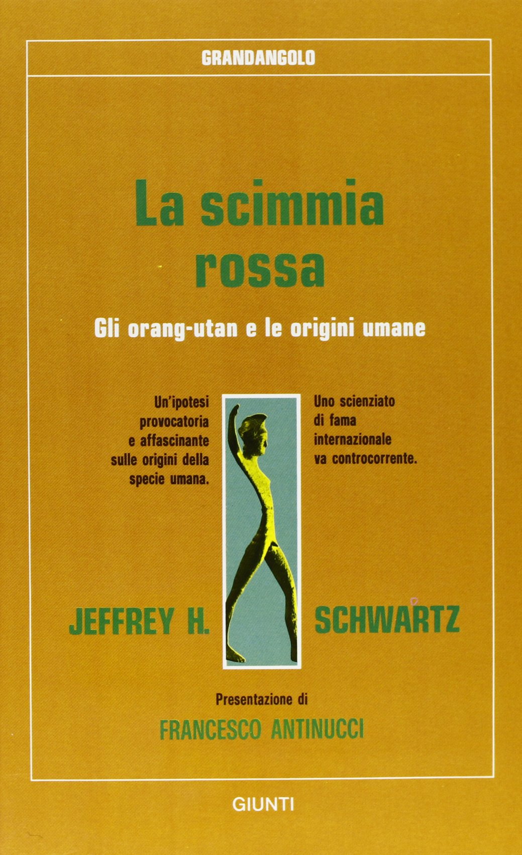 La scimmia rossa. Gli orangutan e le origini umane book