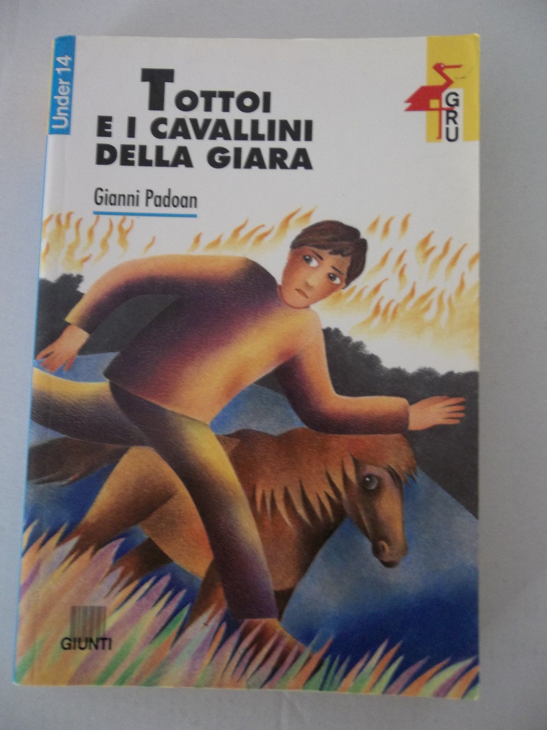 Tottoi e i cavallini della giara (Gru. Giunti ragazzi universale. Under 14) Natural Sciences