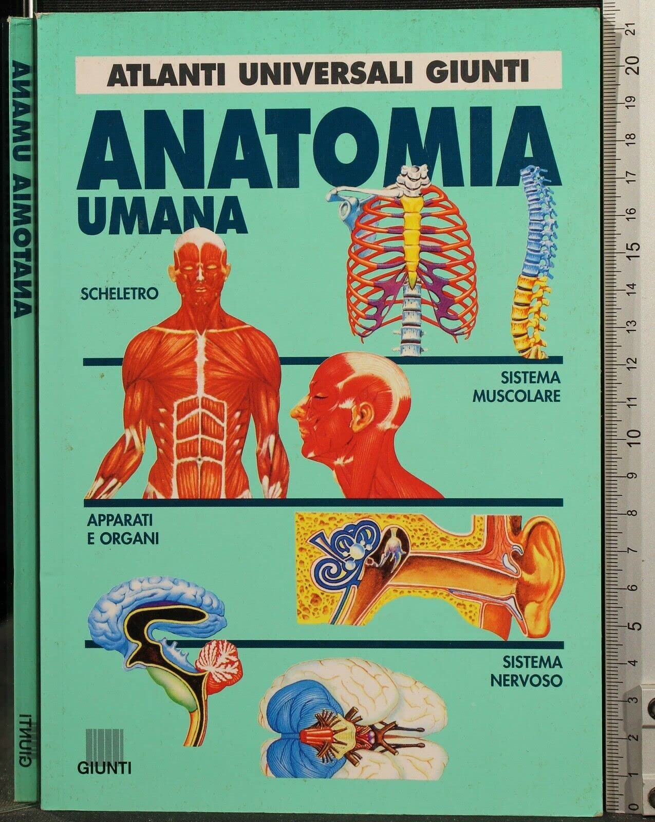 Anatomia umana book