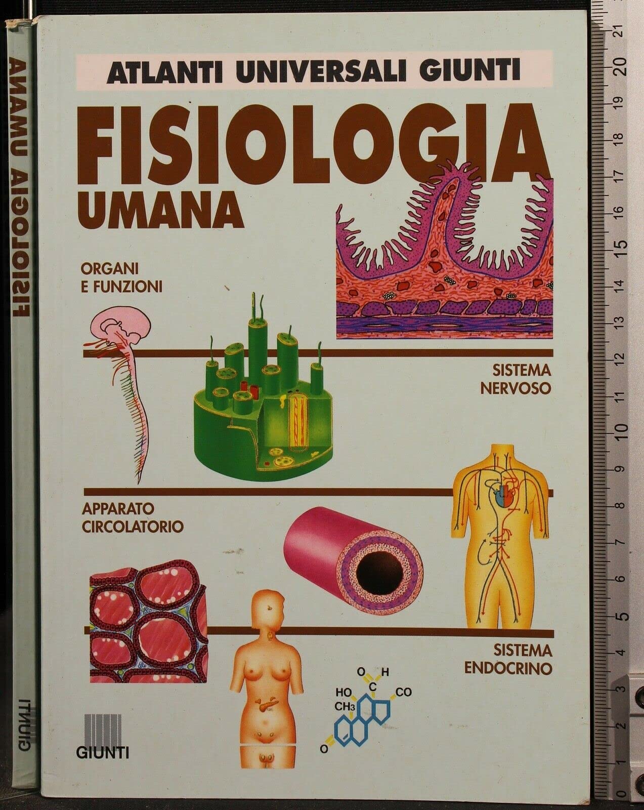 Fisiologia umana (Atlanti universali Giunti) Medicine