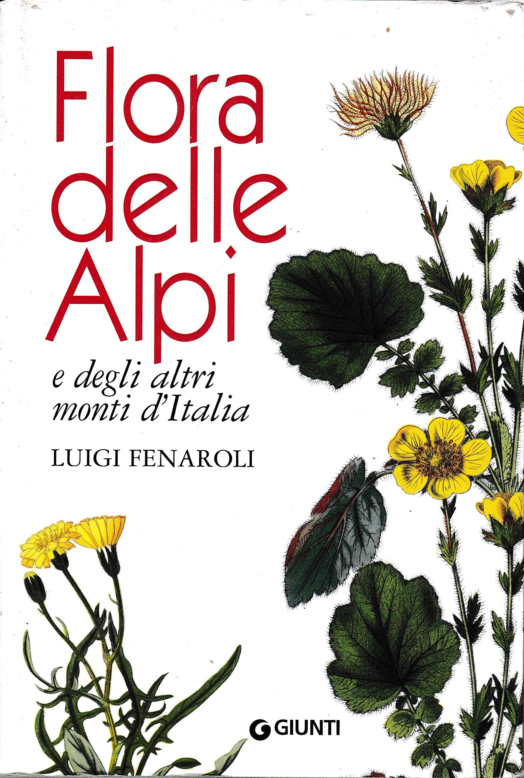 Flora delle Alpi e degli altri monti d'Italia book