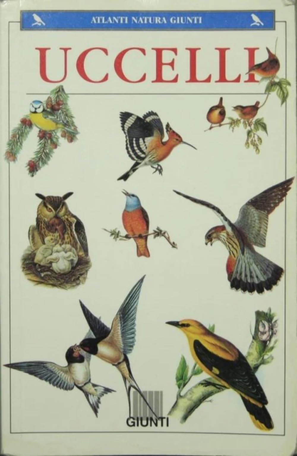 Uccelli (Atlanti natura Giunti) Leisure, Home & Garden