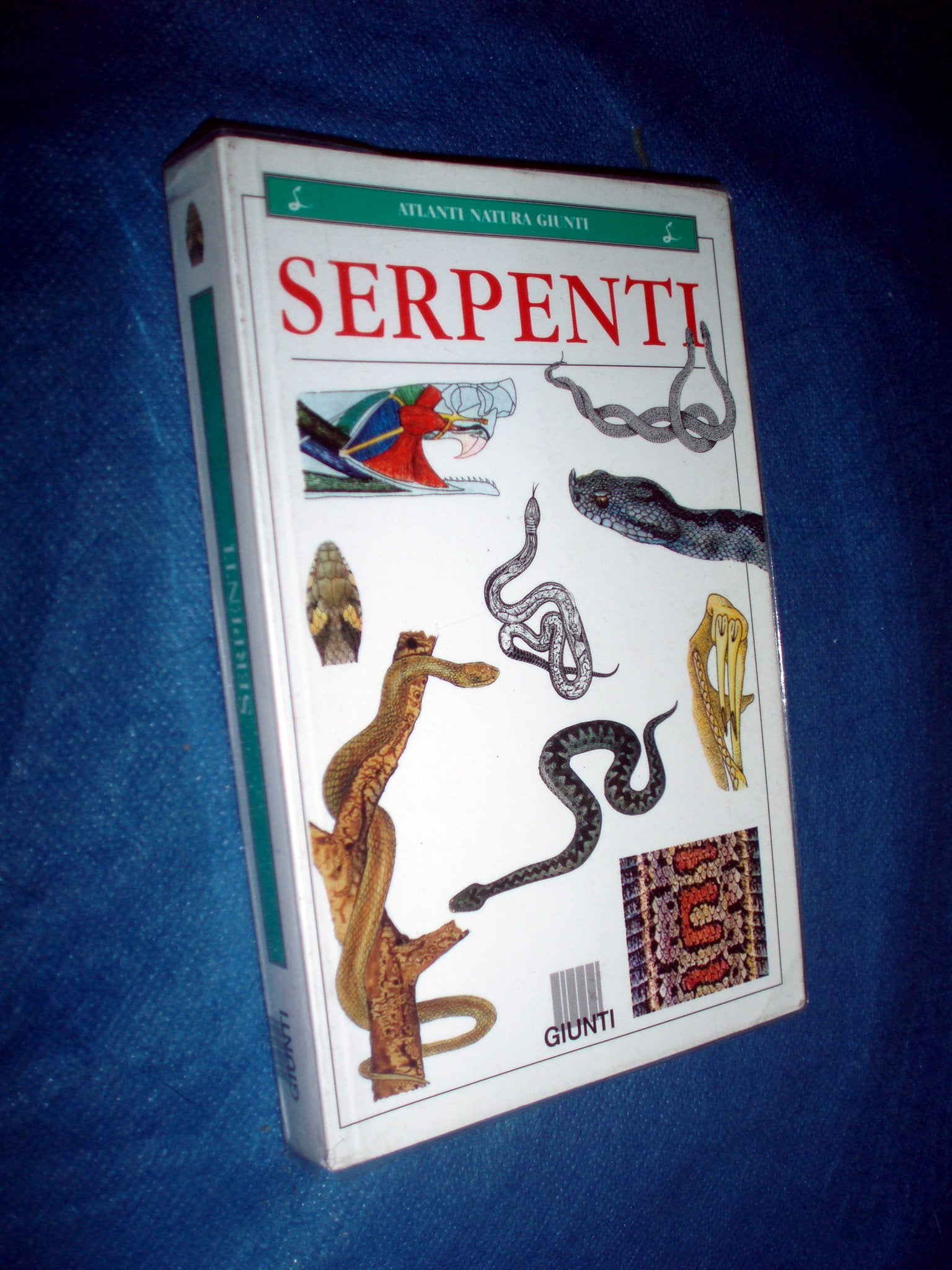 Serpenti (Atlanti natura Giunti) Leisure, Home & Garden