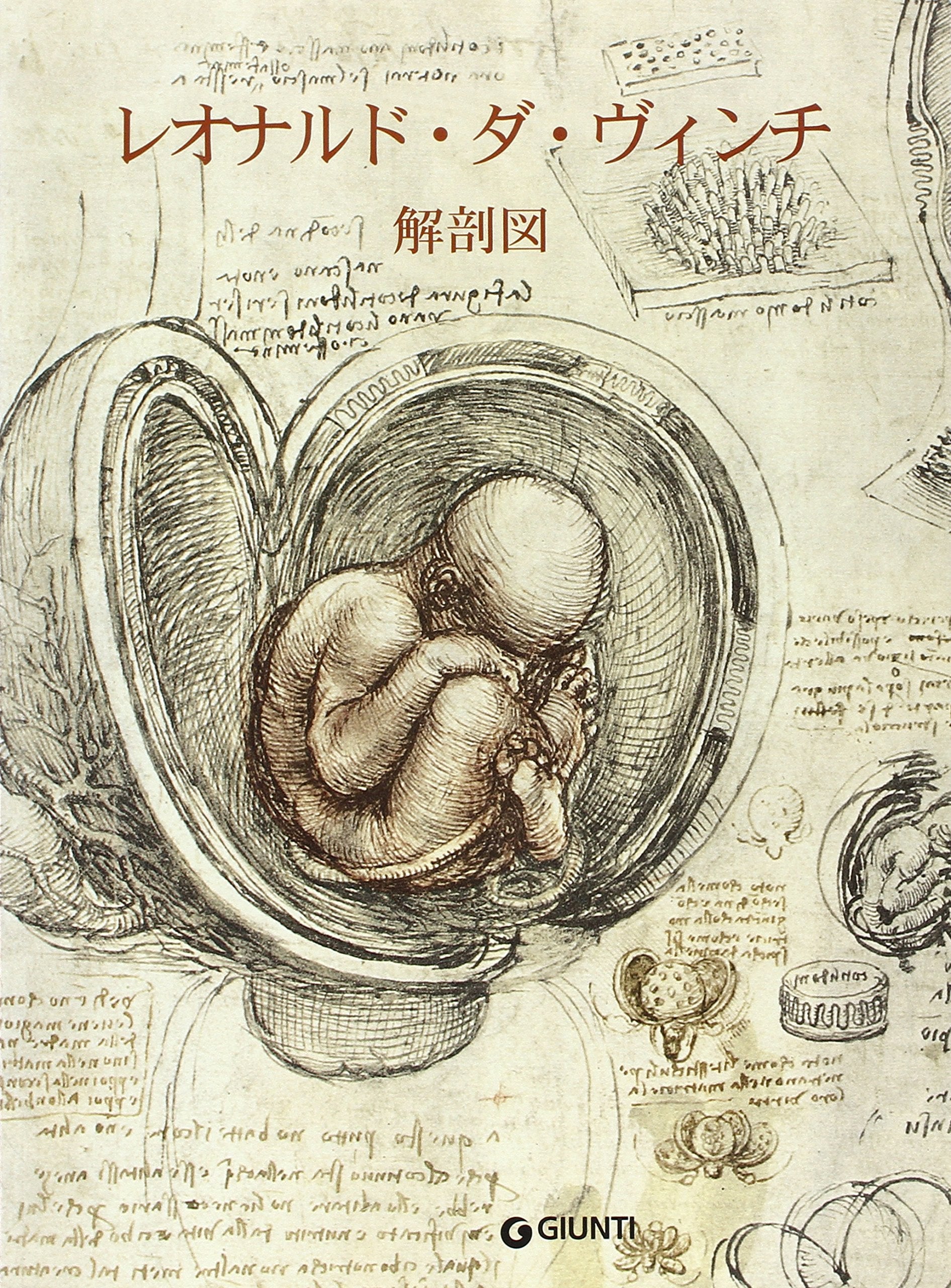 Leonardo. Anatomia. Ediz. giapponese (I grandi della pittura) Arts & Music