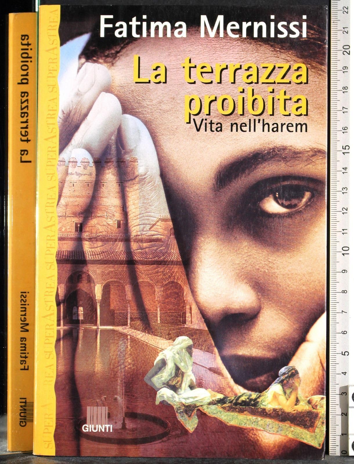 La terrazza proibita. Vita nell'harem book