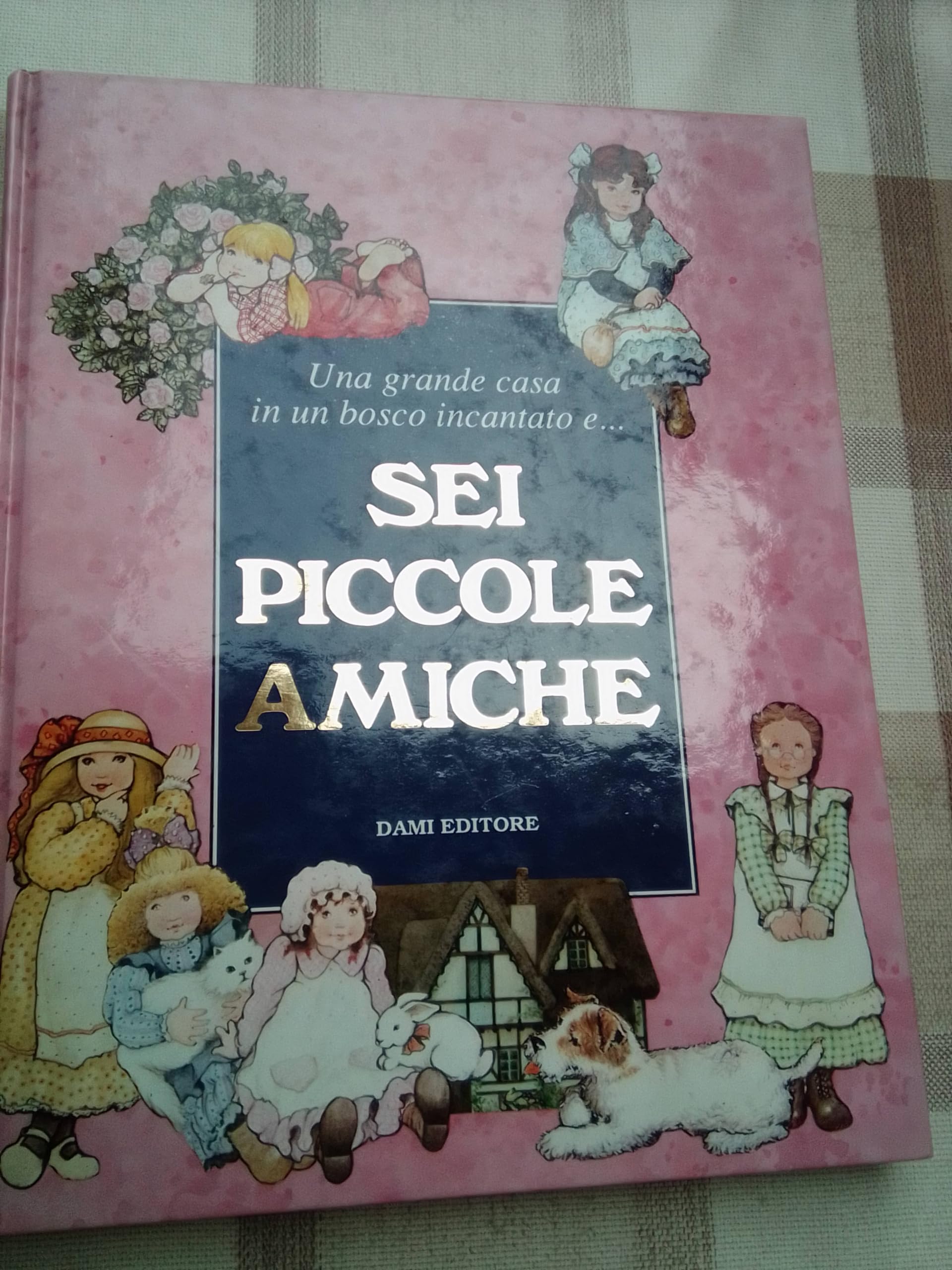 Product Image: Sei piccole amiche (I libri dono)