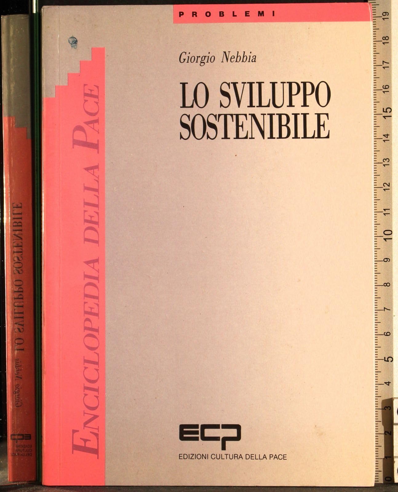 Lo sviluppo sostenibile book