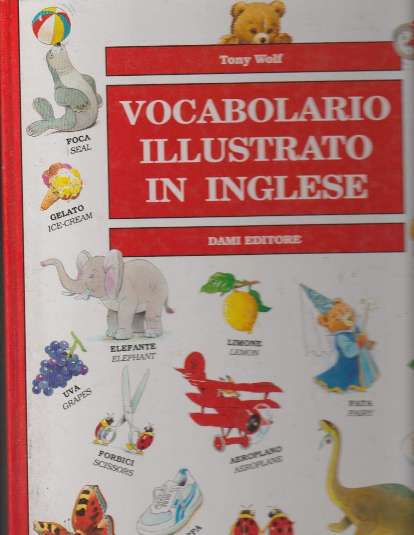 Il nuovo vocabolario illustrato in inglese book