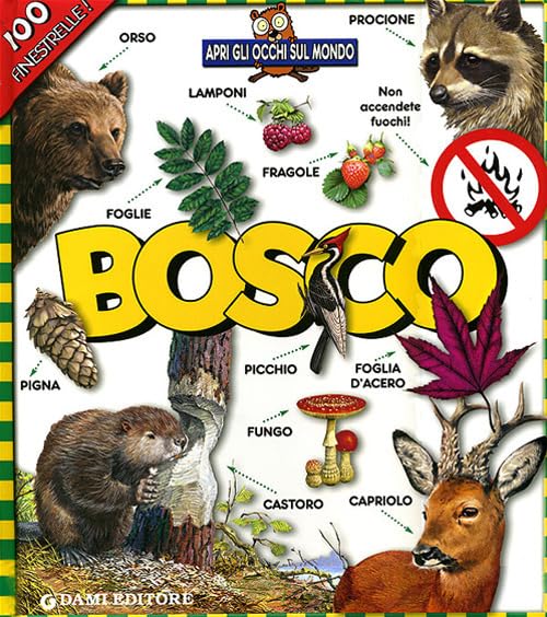 Bosco. Apri gli occhi sul mondo Non-fiction