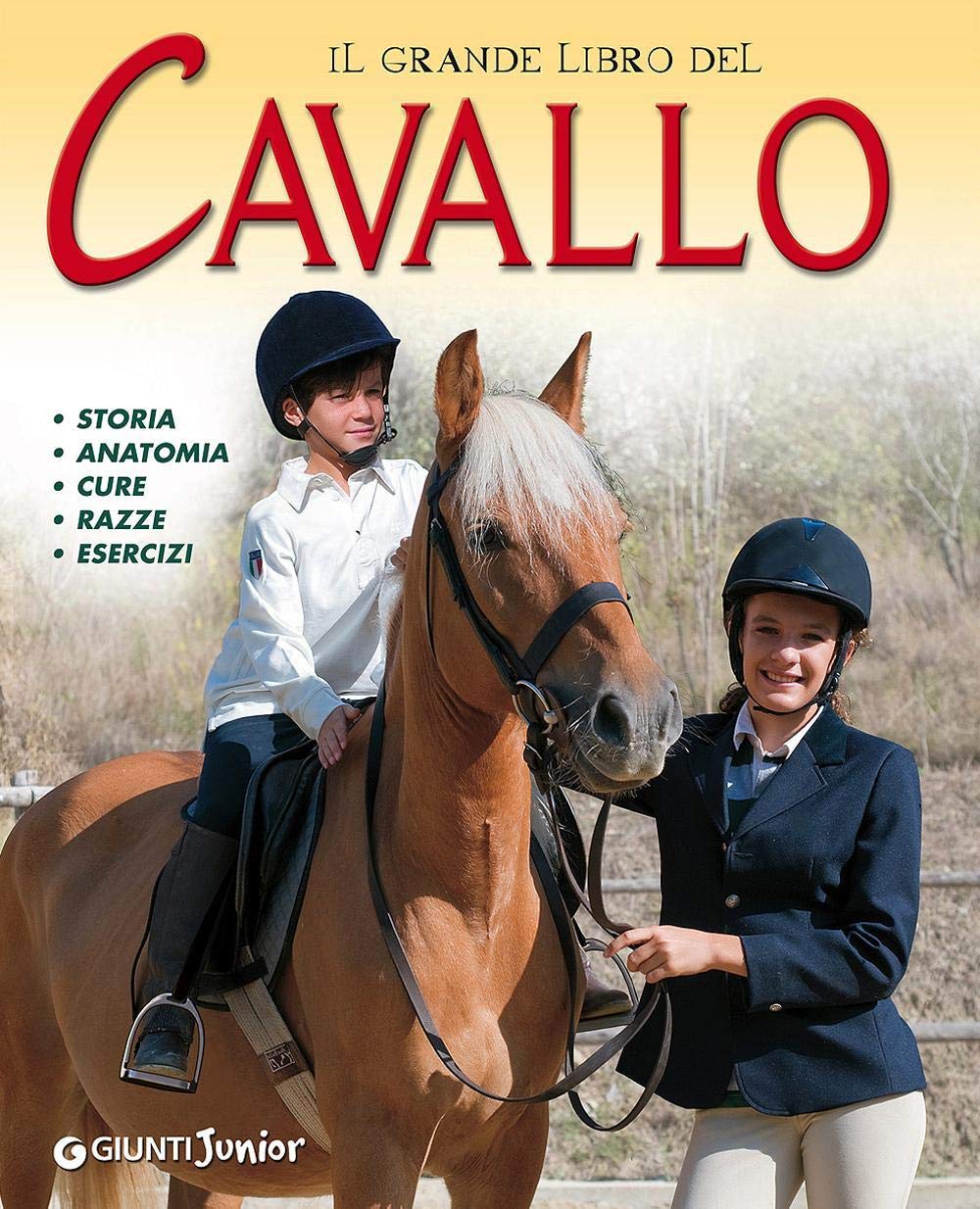 Il grande libro del cavallo. Storia, anatomia, cure, razze, esercizi (Grandi libri. Junior) Non-fiction