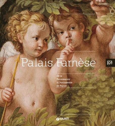 Palais Farnèse. De la Renaissance à l'ambassade de France. Ediz. illustrata: DE LA RENAISSANCE A L'AMBASSADE DE FRANCE (Cataloghi mostre) Film, Art & Culture