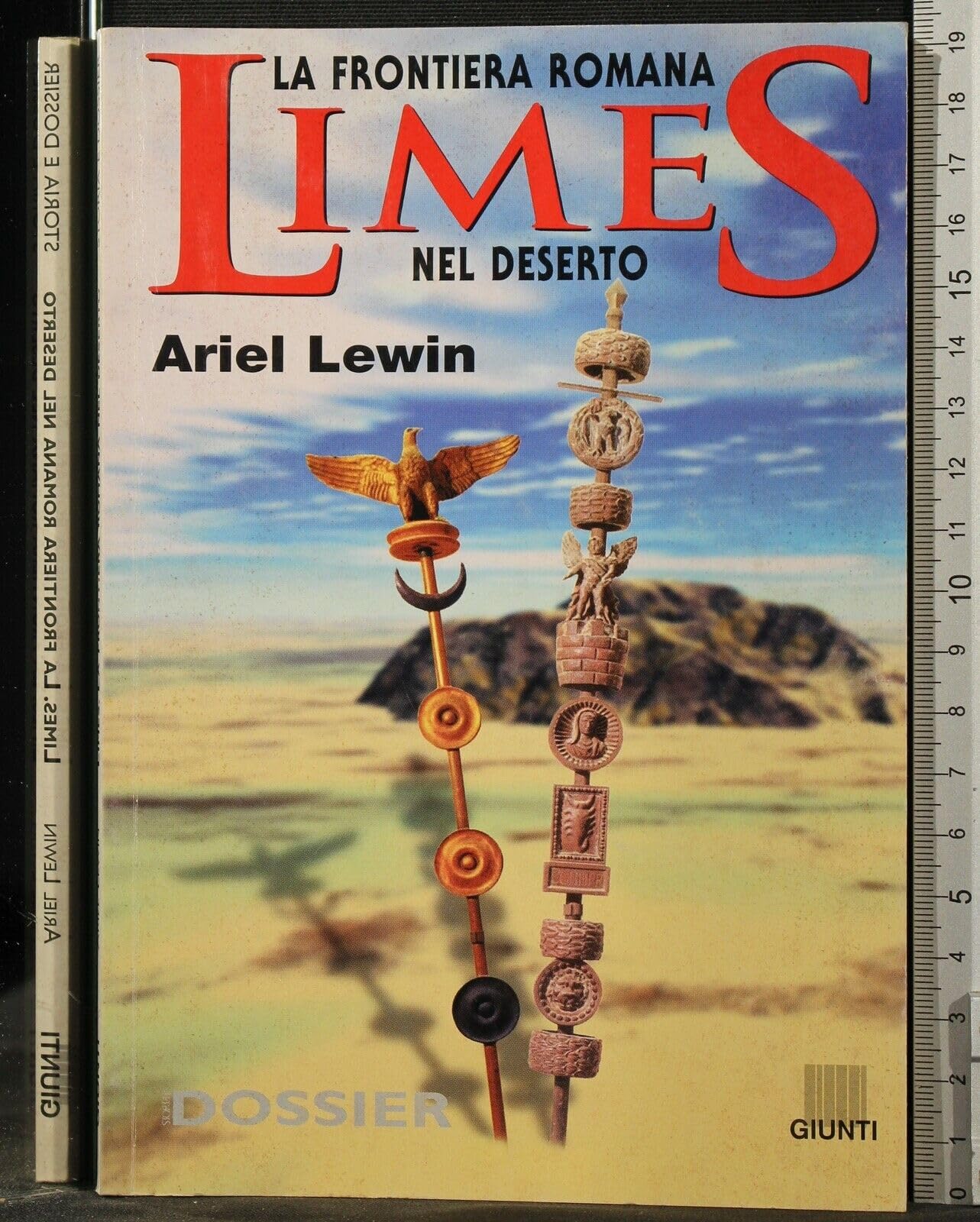 Limes nel deserto. La frontiera romana book