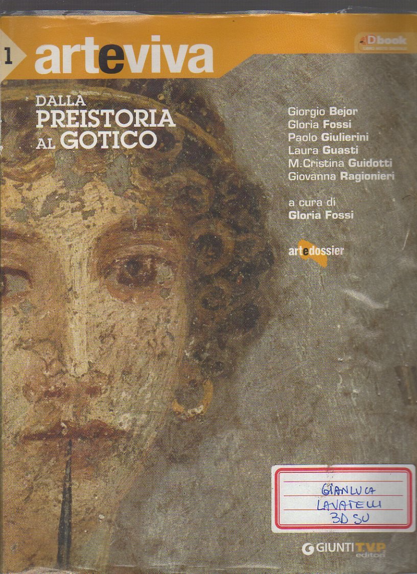 Arteviva. Per le Scuole superiori. Con DVD. Con espansione online. Dalla Preistoria al gotico (Vol. 1) Professional & Reference Books