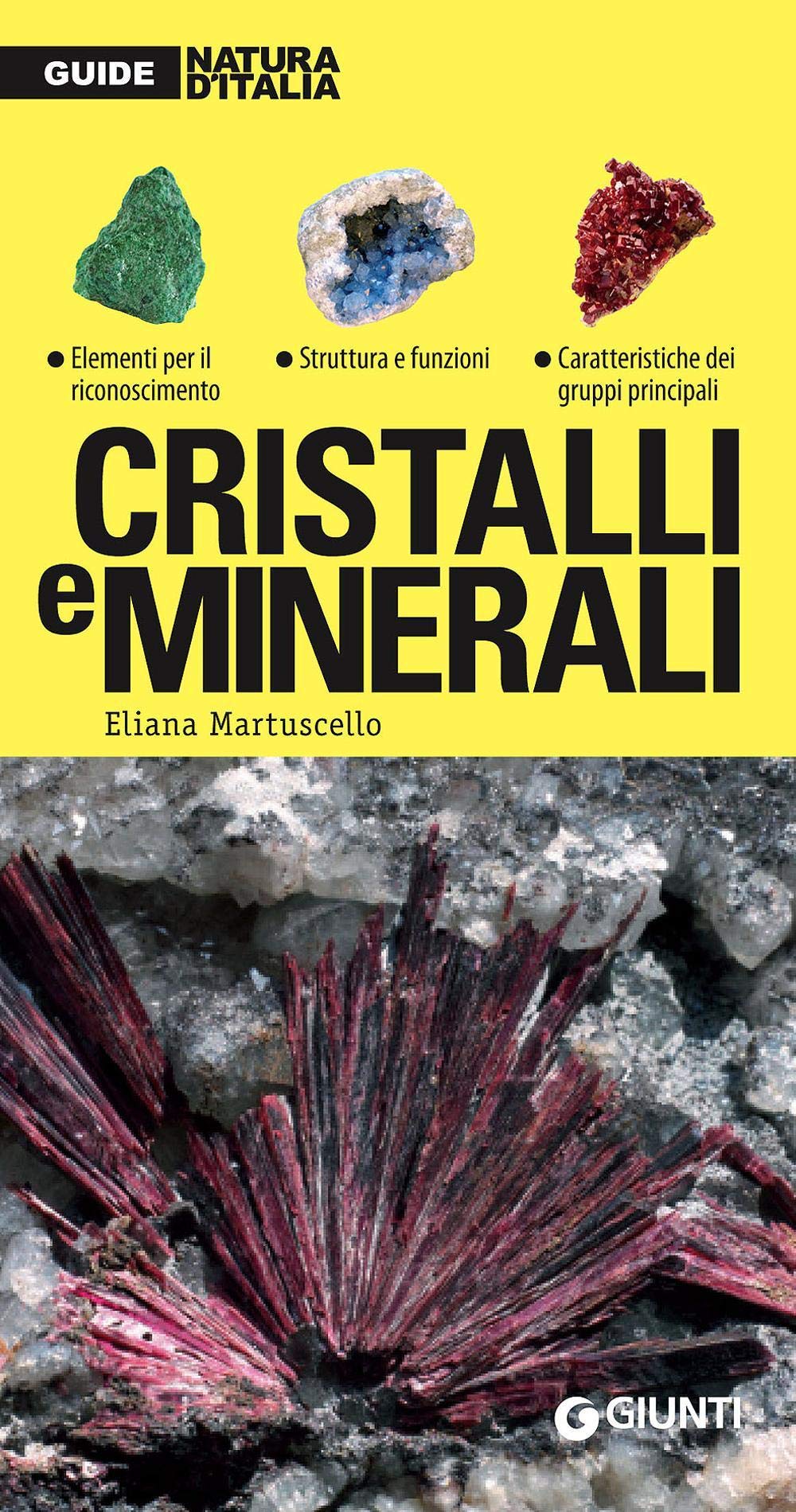 Cristalli e minerali (Guide natura d'Italia) Leisure, Home & Garden